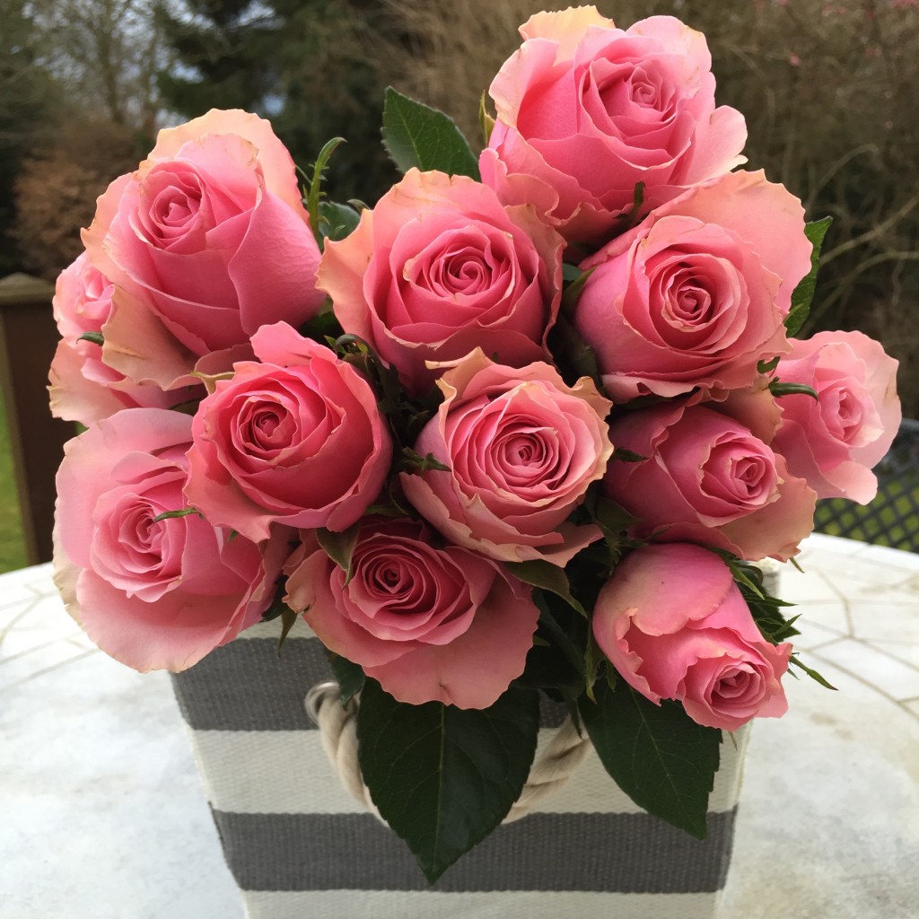 Bloom roses in stripey box