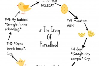 The Life Cycle of A School Holiday Feb 2015